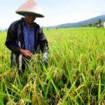 Membincangkan Kedaulatan Ekonomi Warga NU