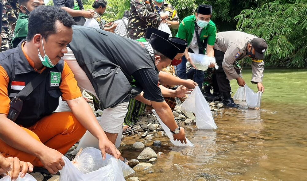 Rangkaian Rakerancab Kemiri, Juga Adakan Tebar Benih Ikan 3.000 Ekor